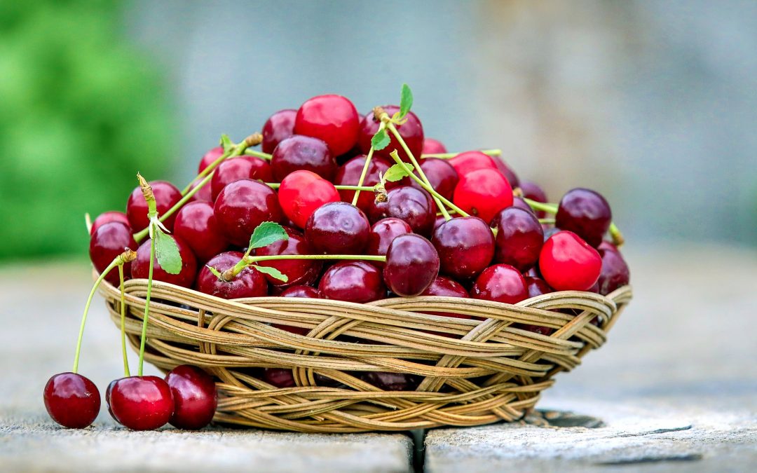 Cómo preparar un huerto de cerezos para el invierno